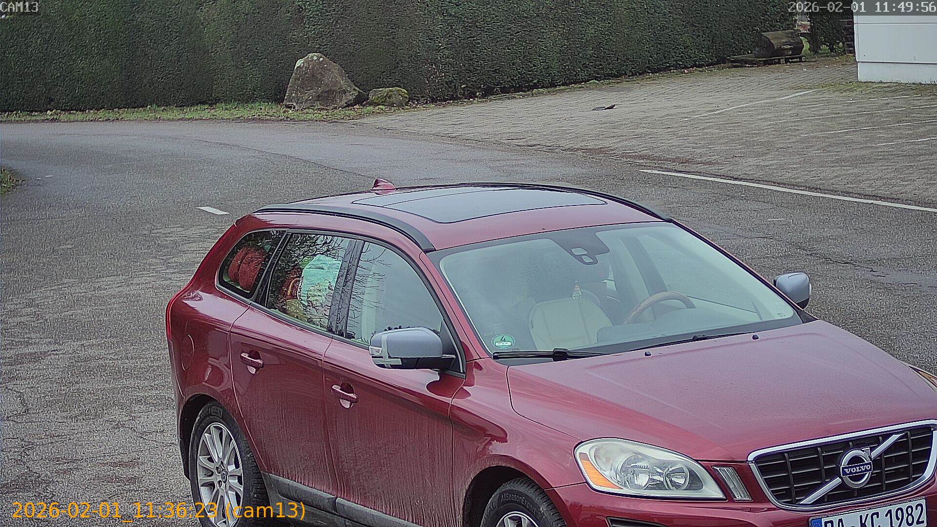 thumbnail_20260201113623