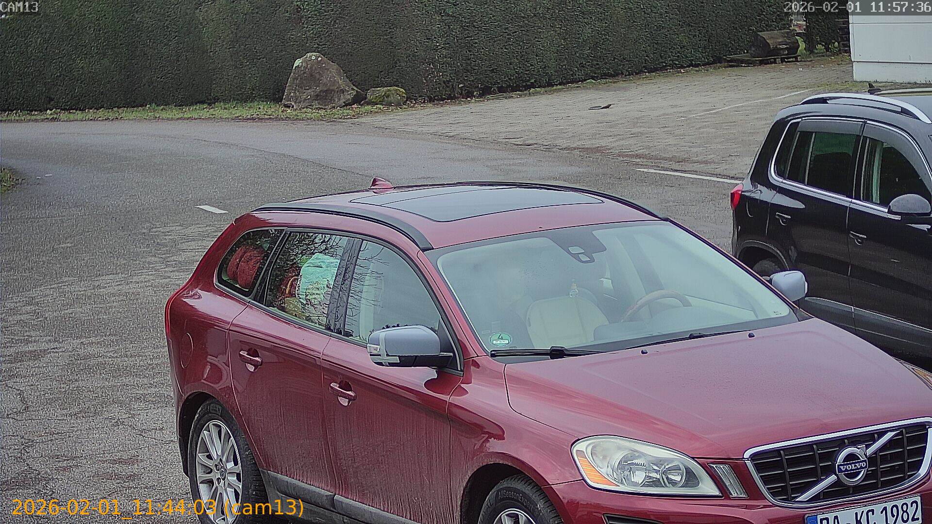 thumbnail_20260201114403