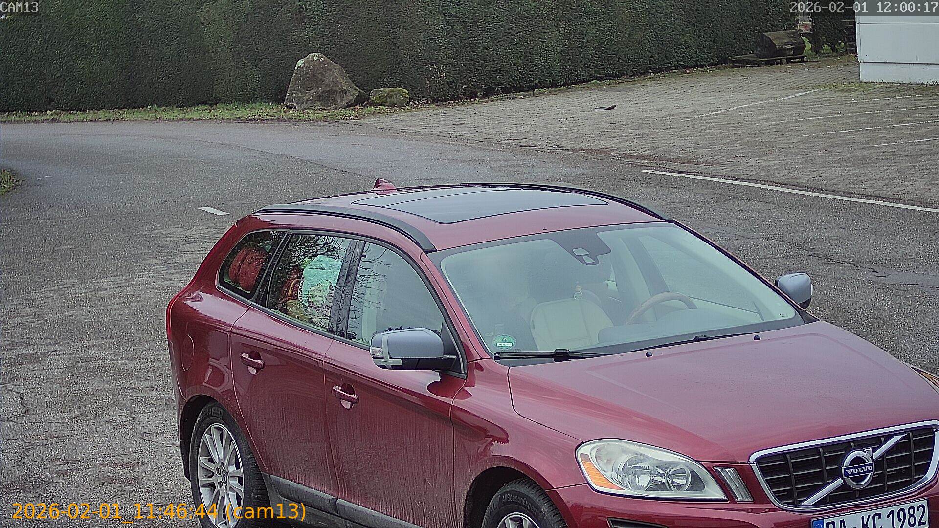 thumbnail_20260201114644