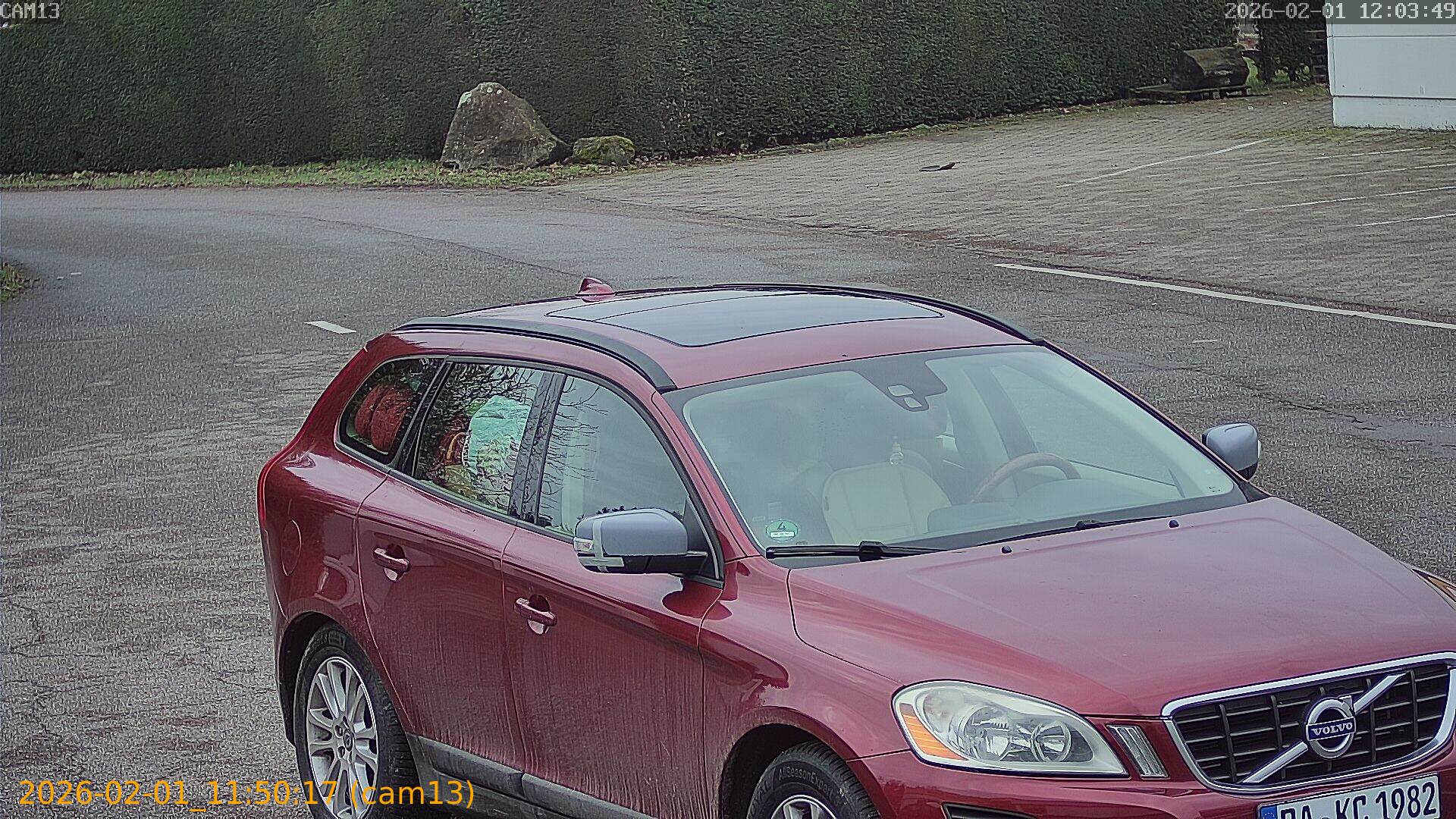 thumbnail_20260201115017