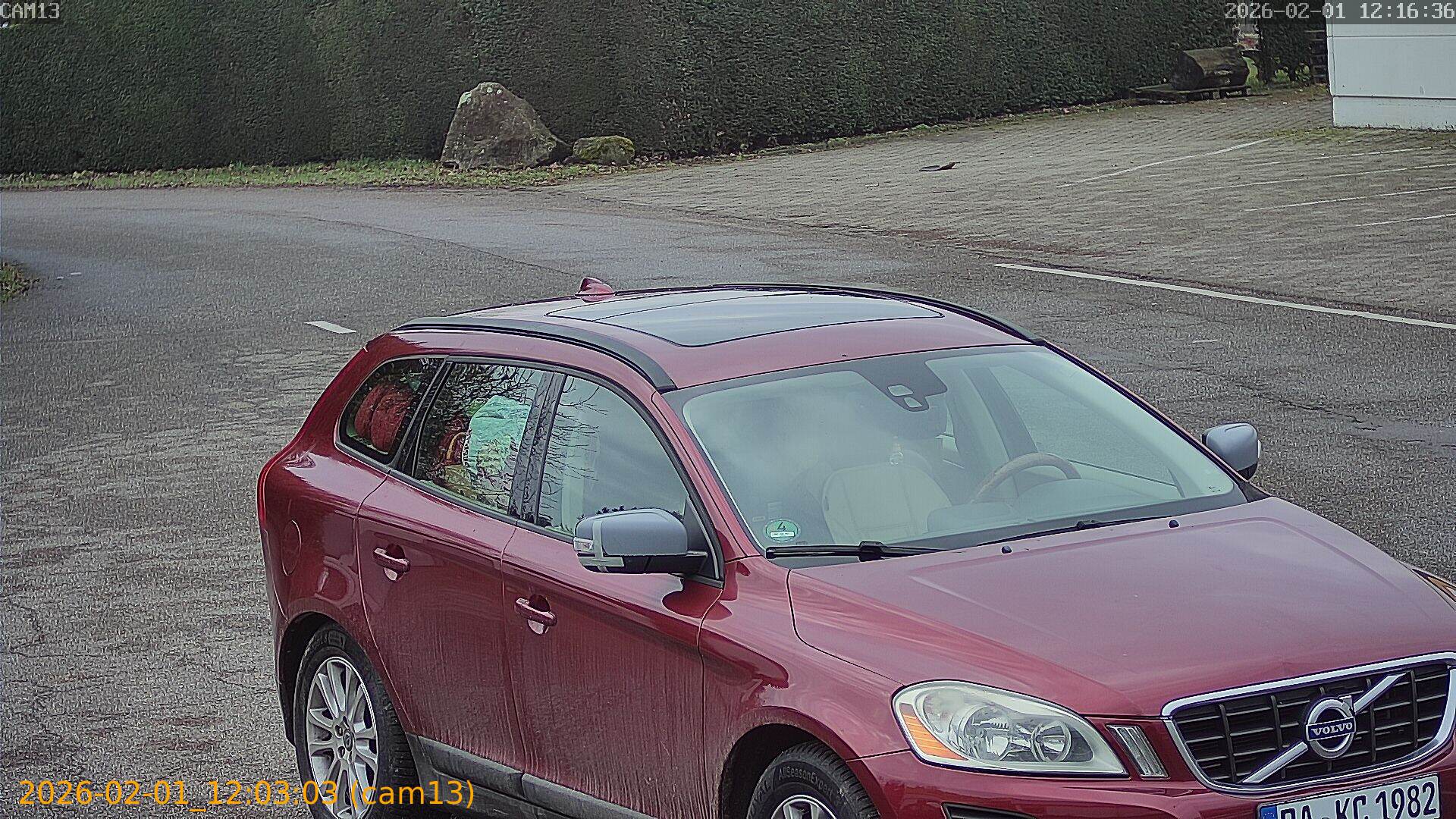 thumbnail_20260201120303