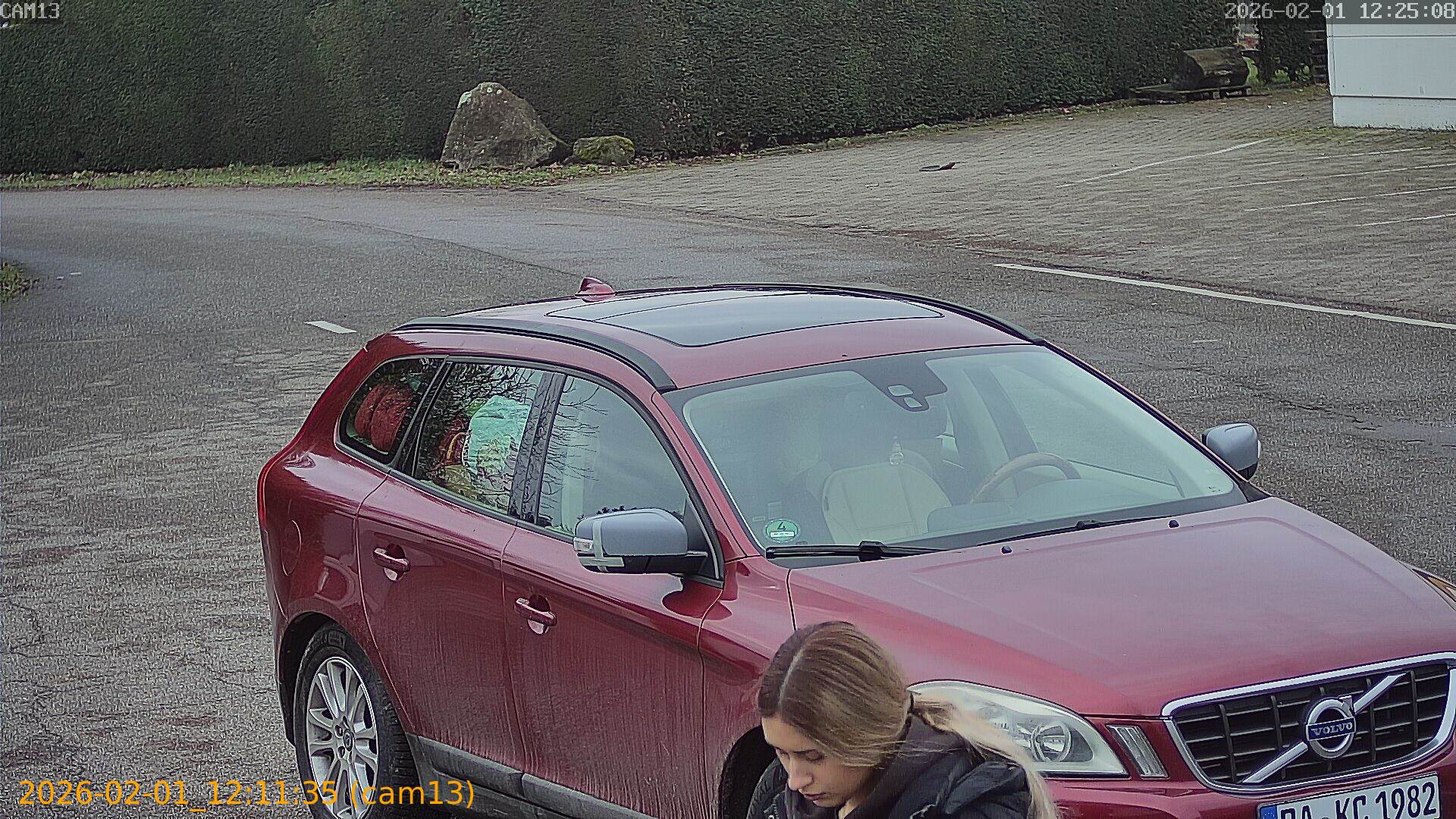 thumbnail_20260201121135