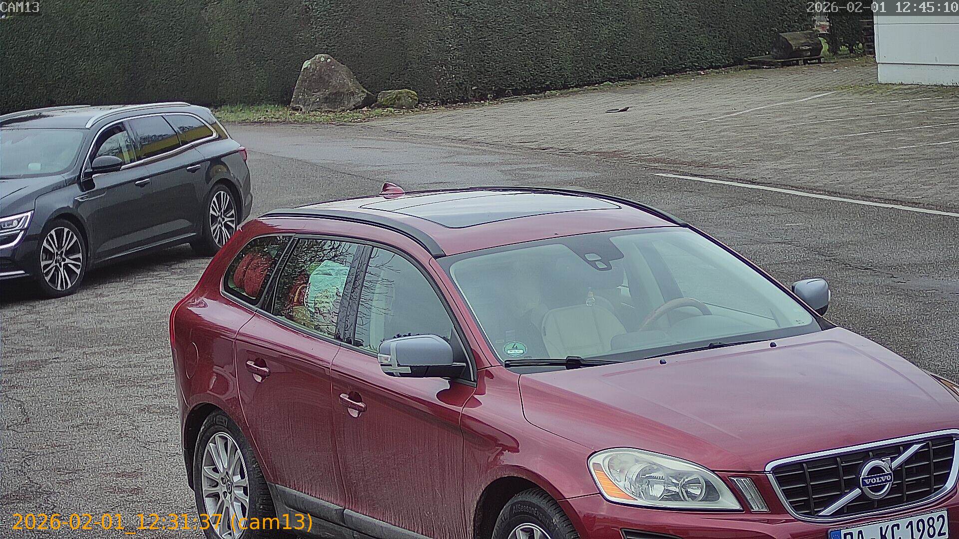 thumbnail_20260201123137