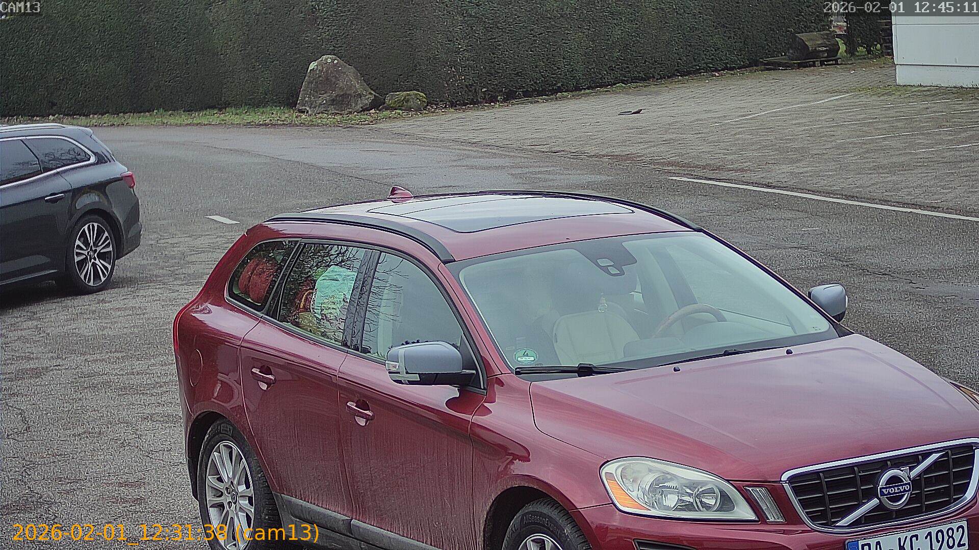 thumbnail_20260201123138