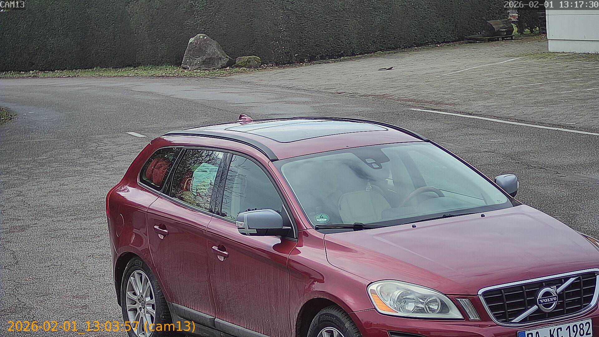 thumbnail_20260201130357