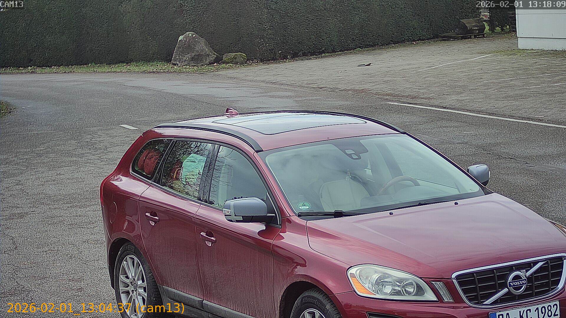 thumbnail_20260201130437