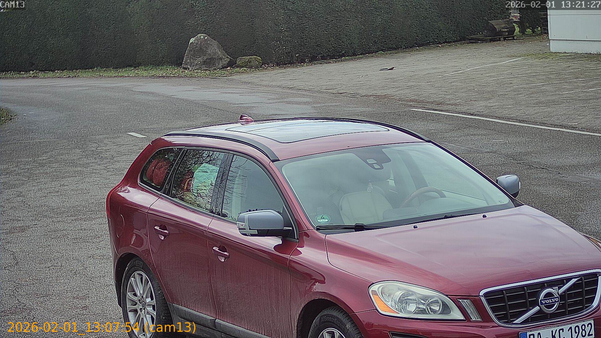 thumbnail_20260201130754