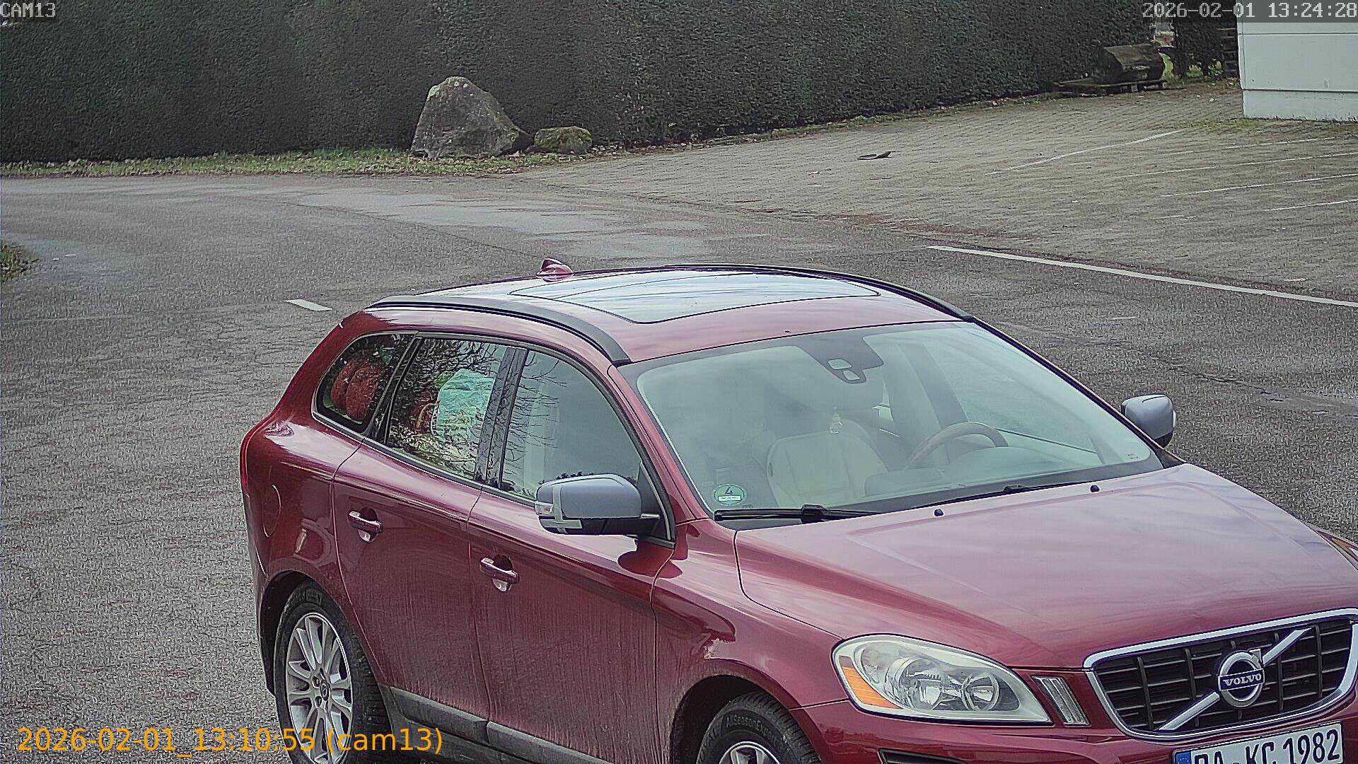 thumbnail_20260201131055