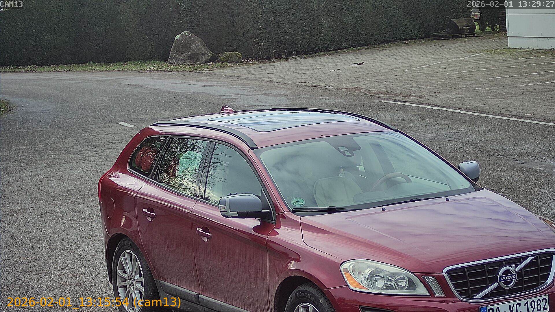 thumbnail_20260201131554