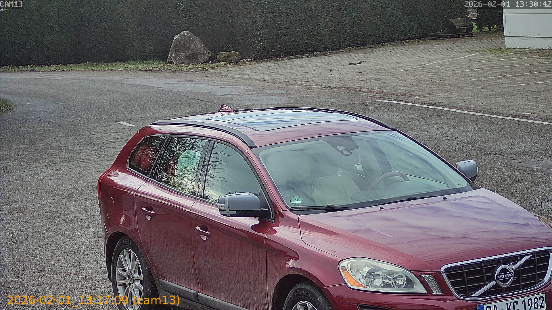 thumbnail_20260201131709