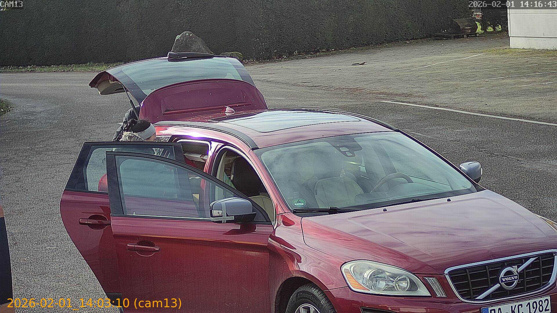 thumbnail_20260201140310