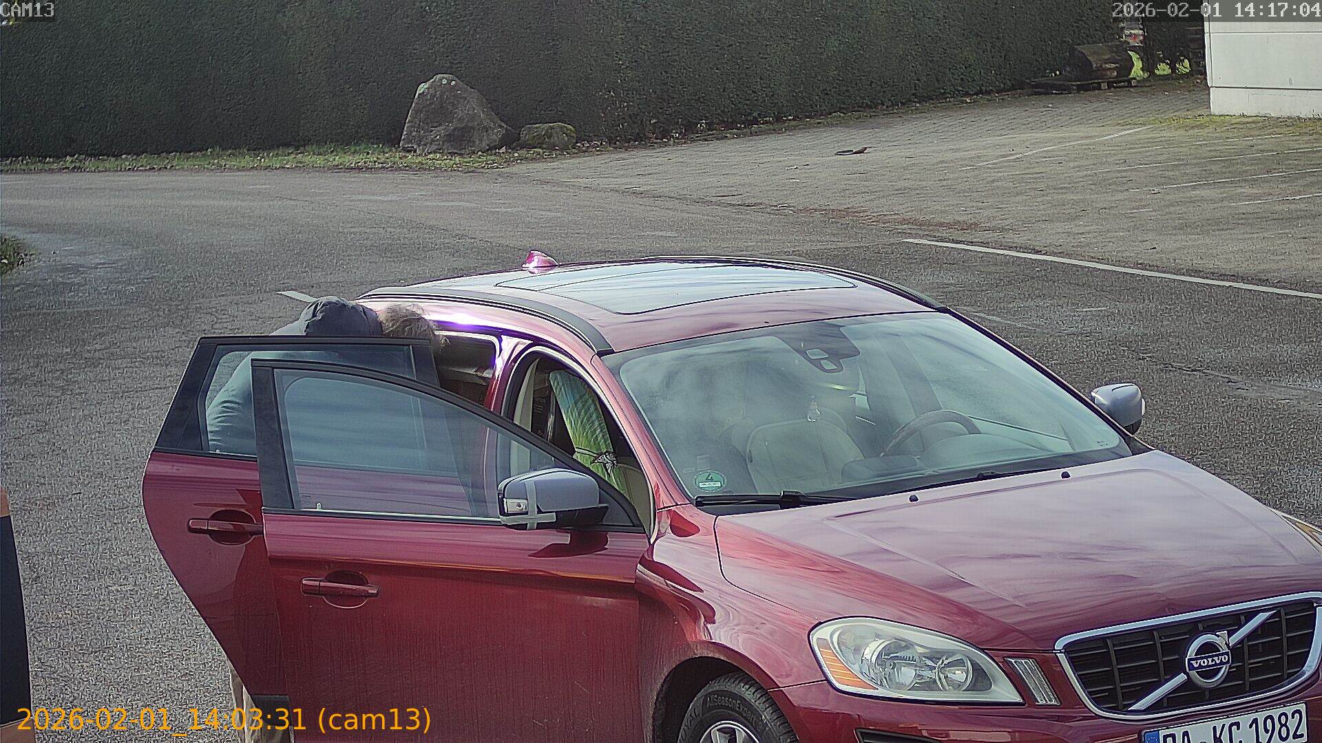 thumbnail_20260201140331