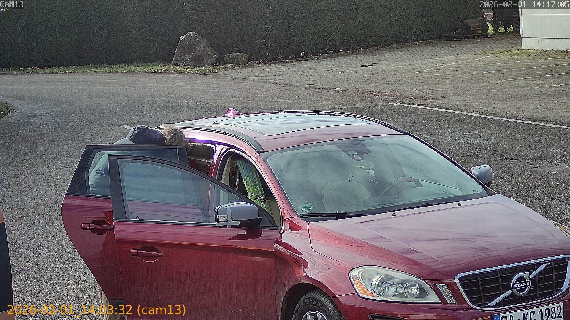 thumbnail_20260201140332