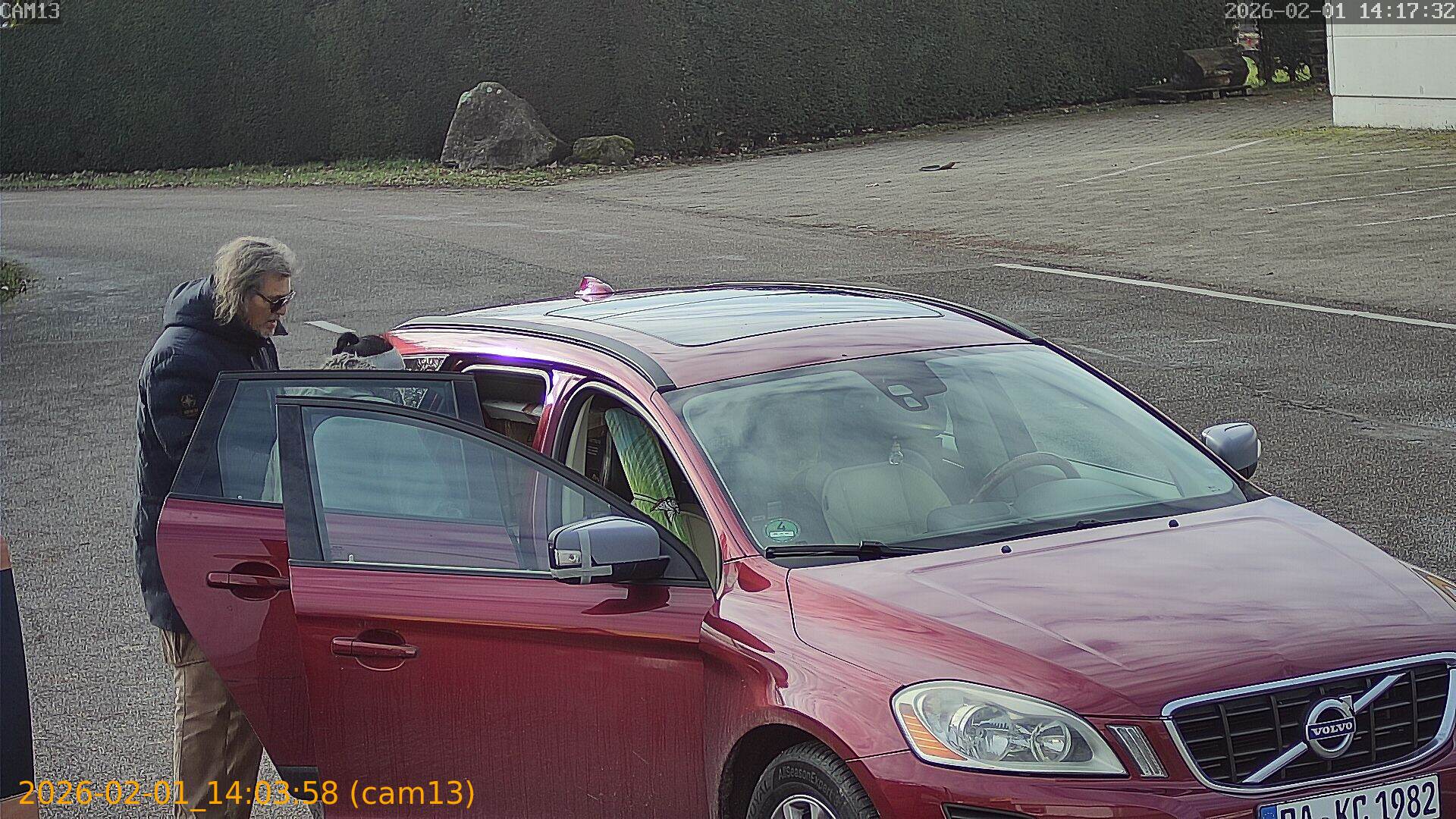 thumbnail_20260201140358