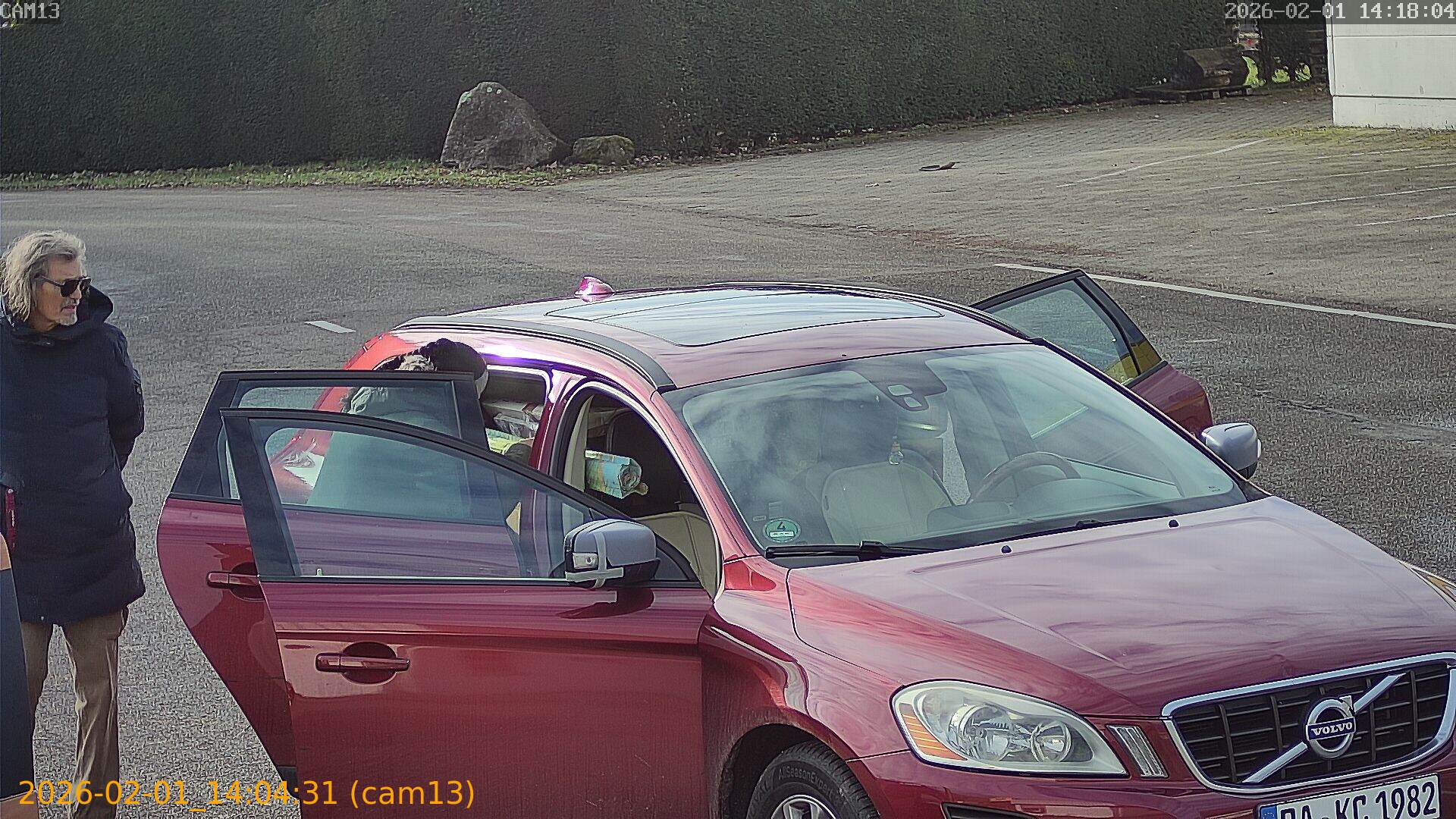 thumbnail_20260201140431