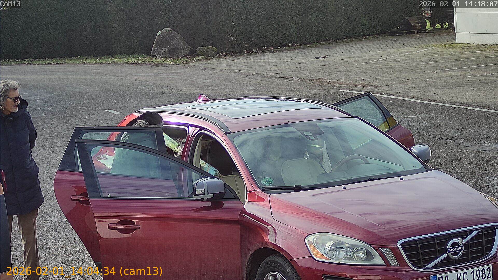 thumbnail_20260201140434