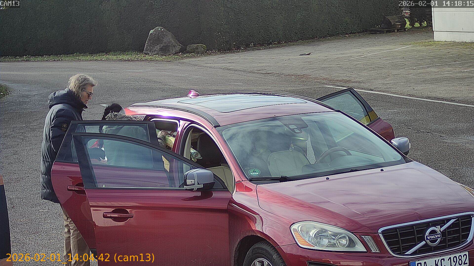 thumbnail_20260201140442