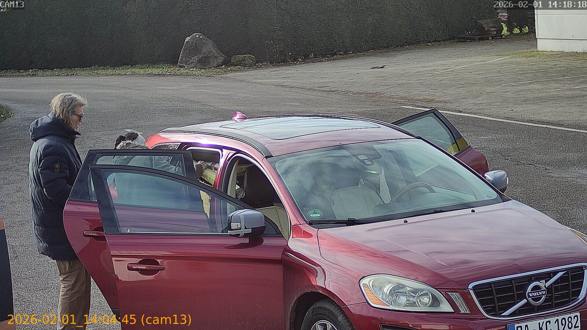 thumbnail_20260201140445