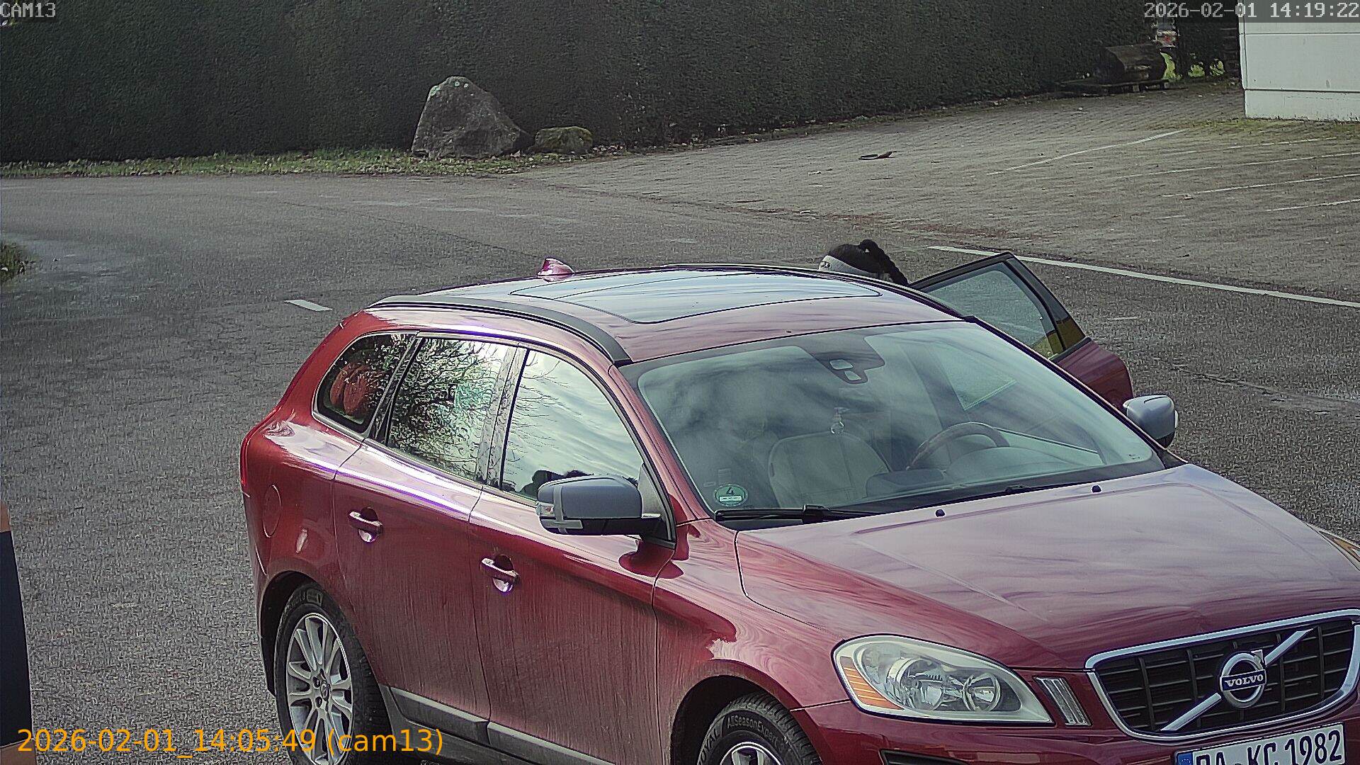 thumbnail_20260201140549