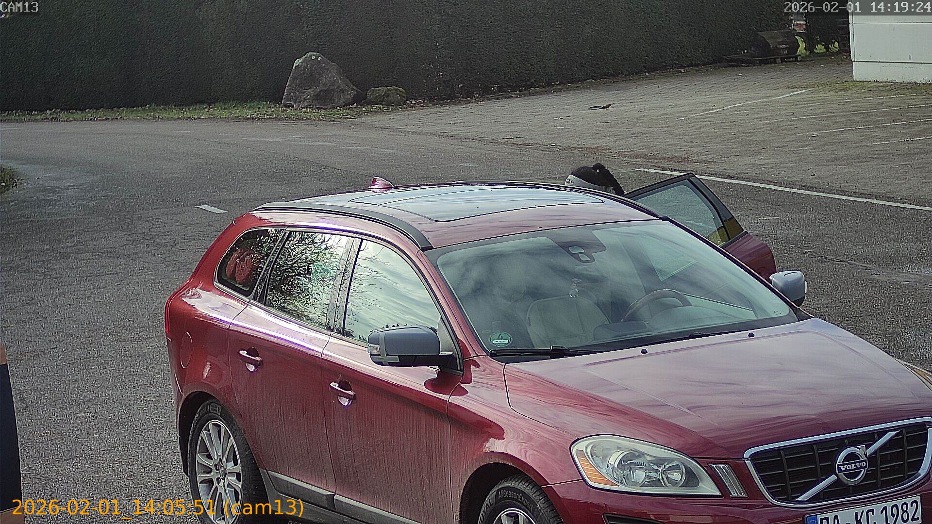 thumbnail_20260201140551