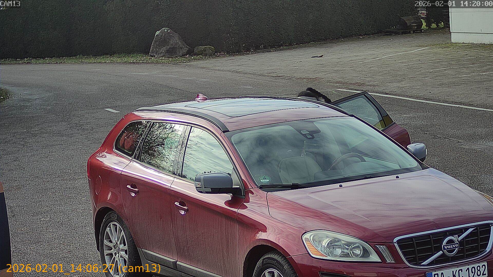 thumbnail_20260201140627