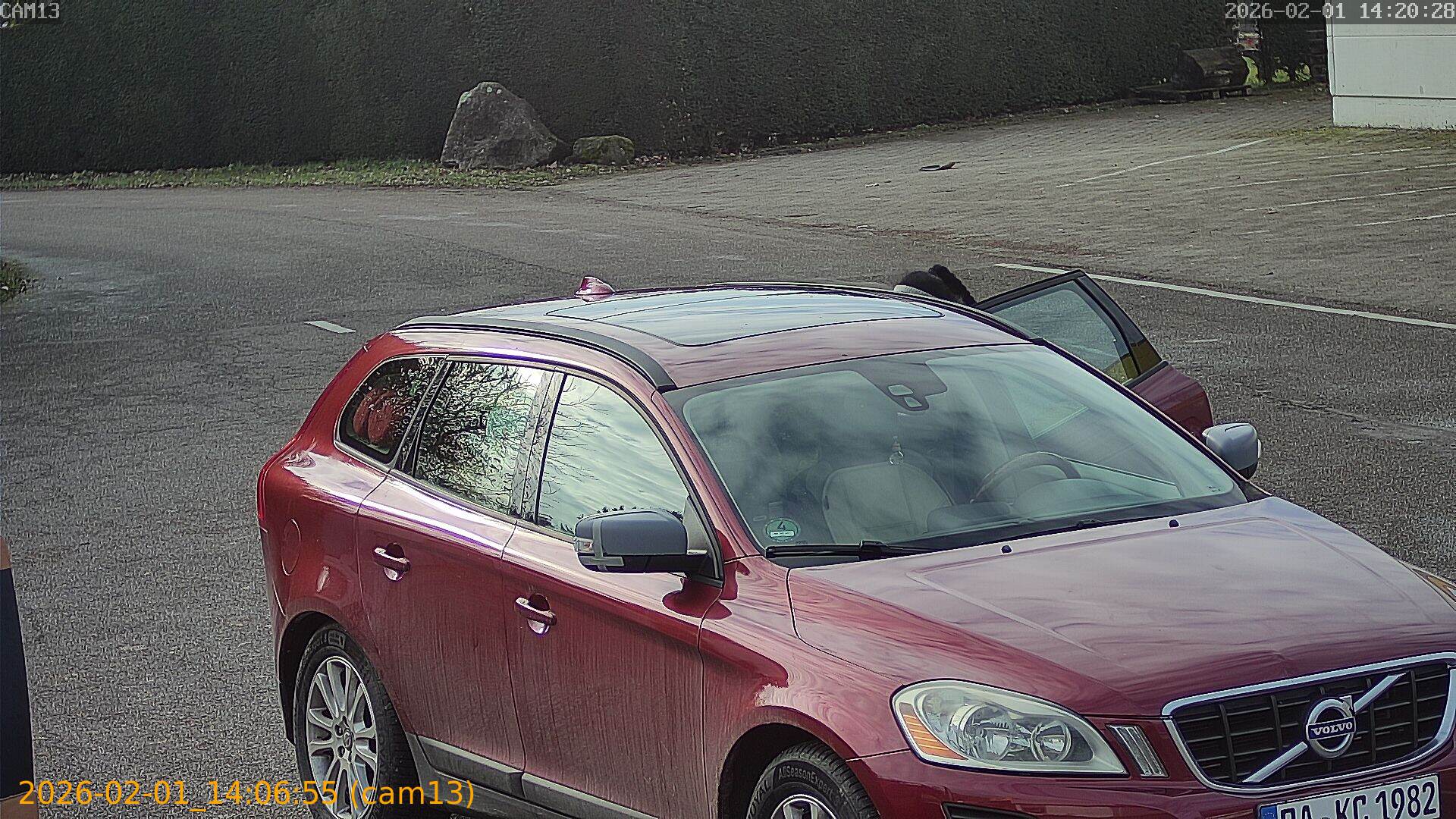 thumbnail_20260201140655