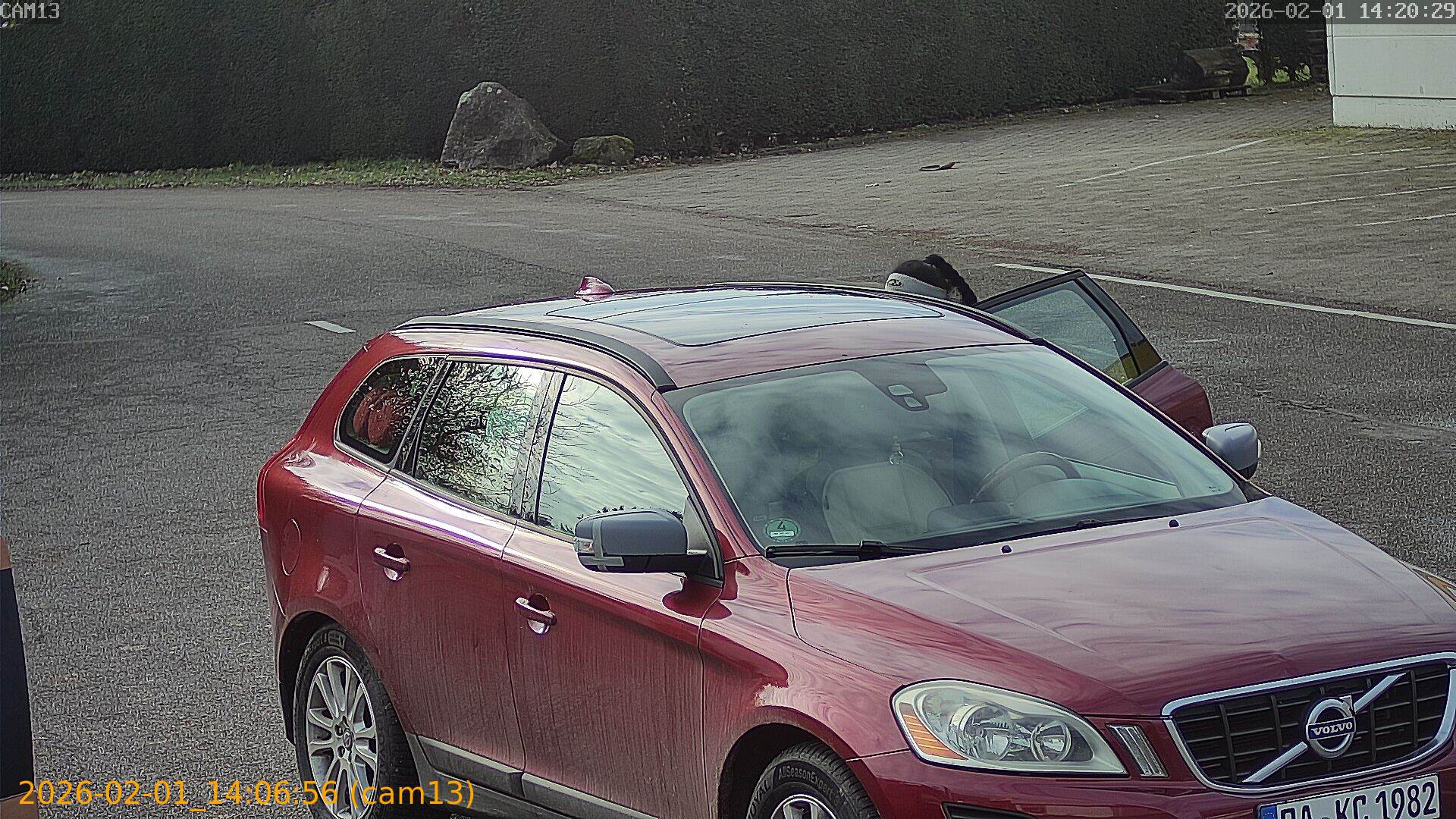 thumbnail_20260201140656