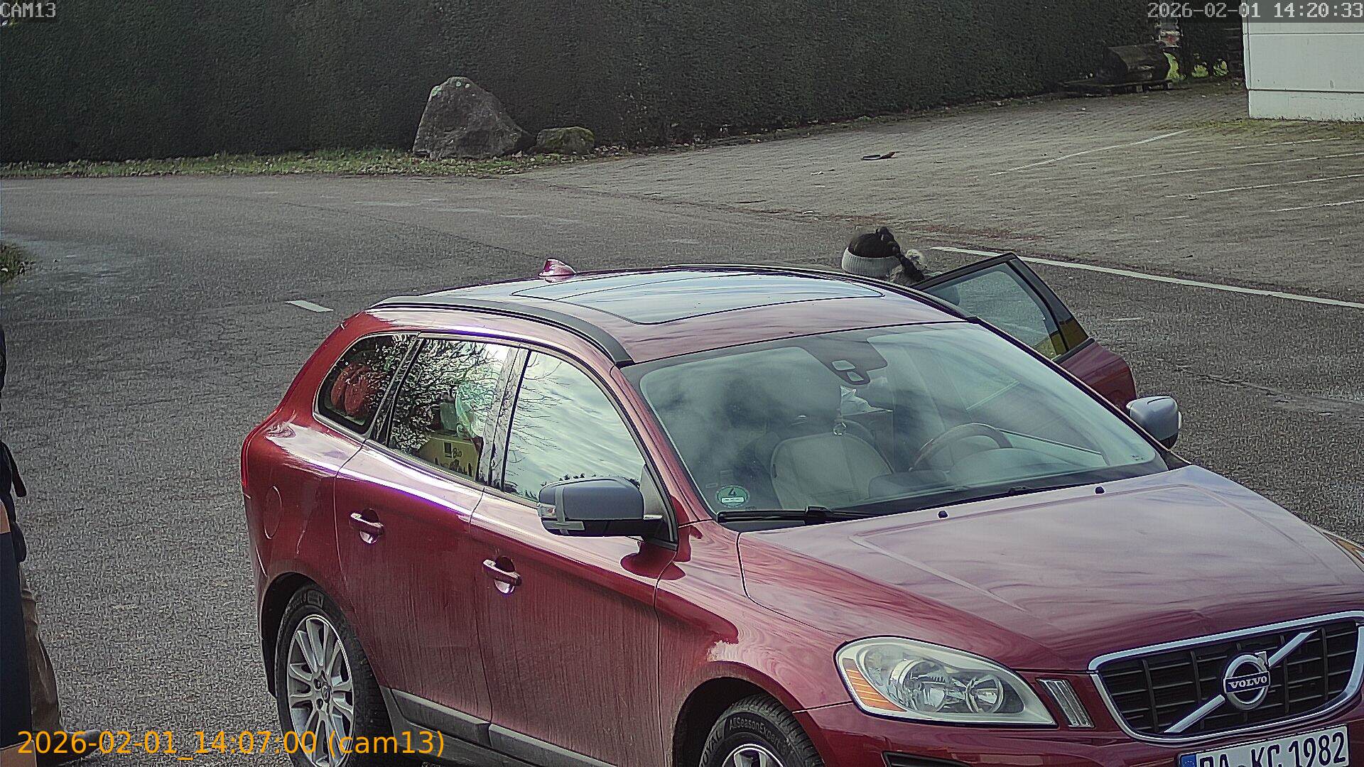 thumbnail_20260201140700