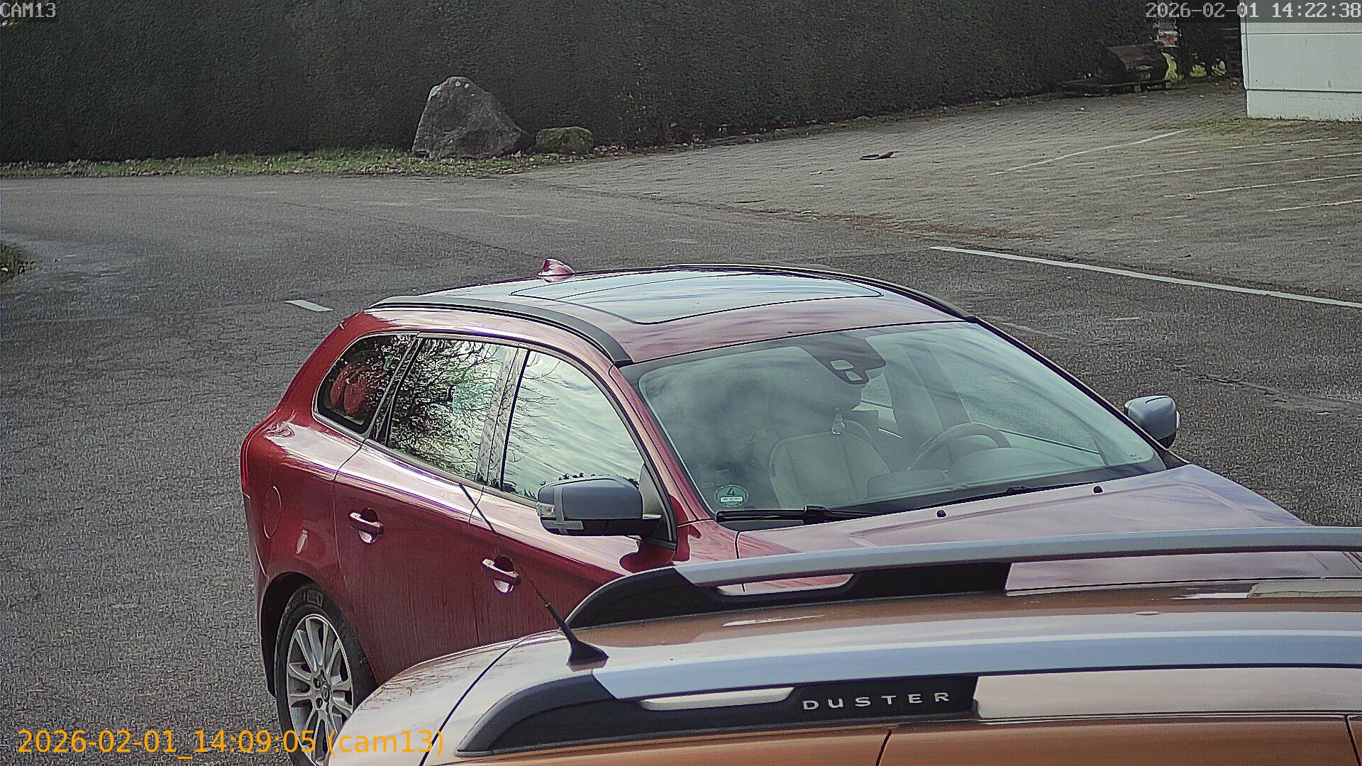 thumbnail_20260201140905