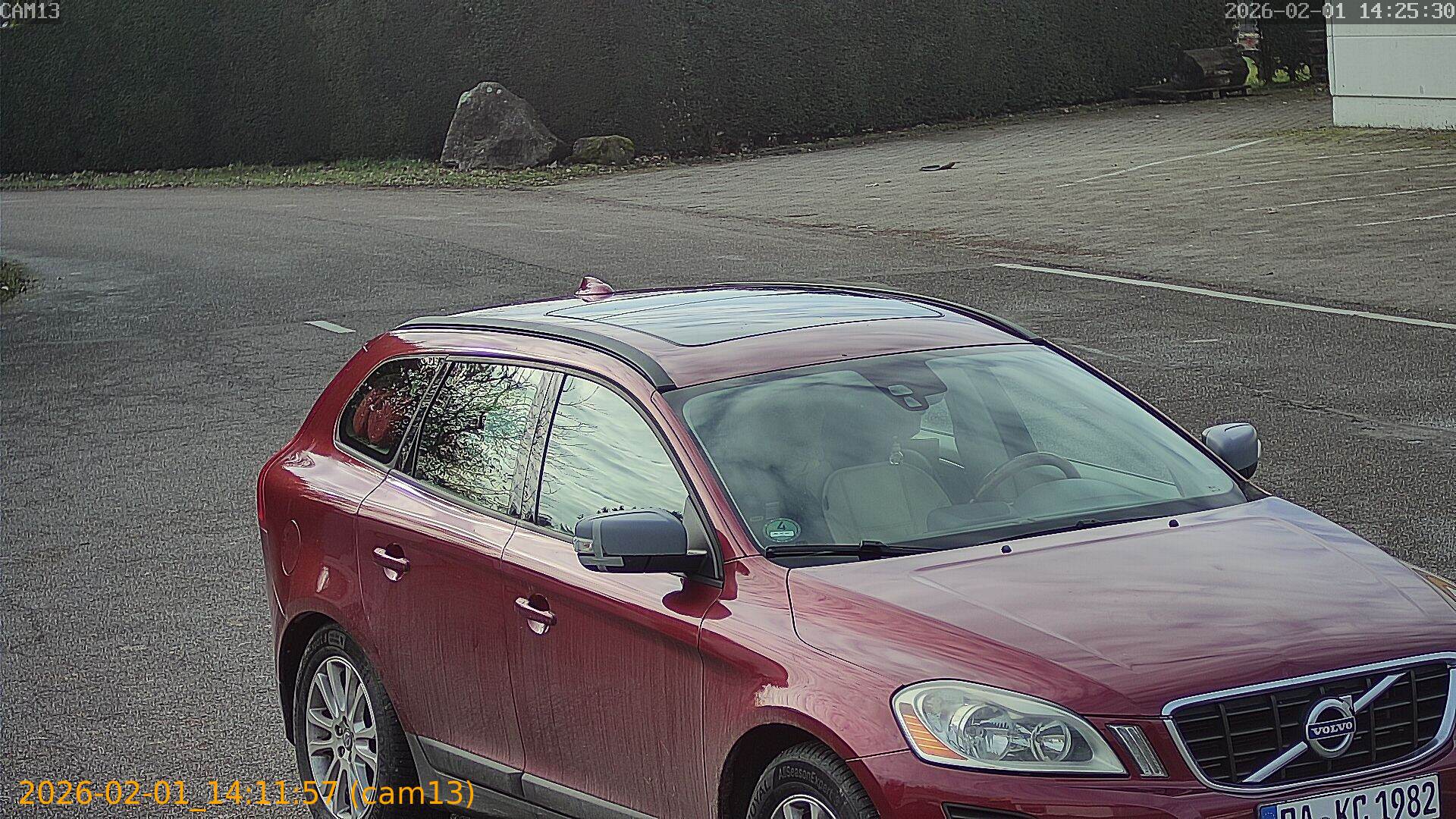 thumbnail_20260201141157