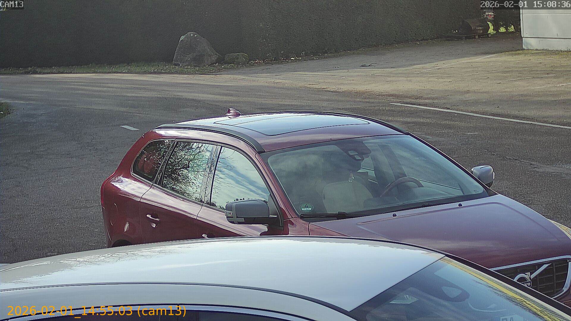 thumbnail_20260201145503