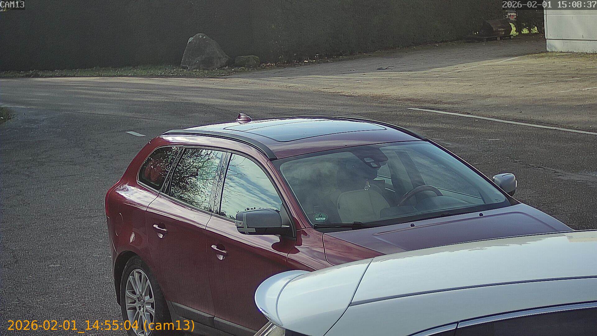 thumbnail_20260201145504