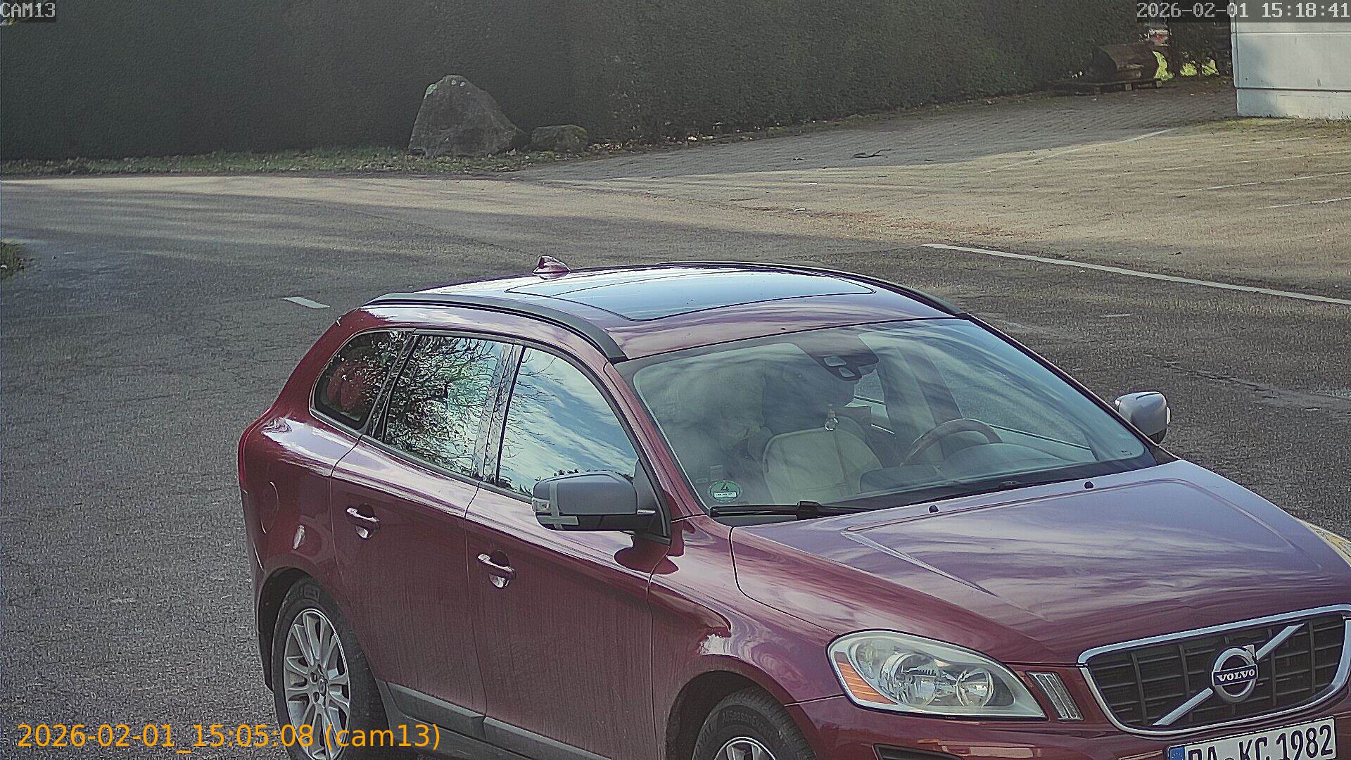 thumbnail_20260201150508