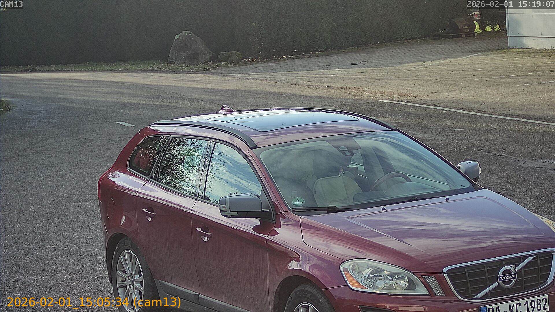 thumbnail_20260201150534