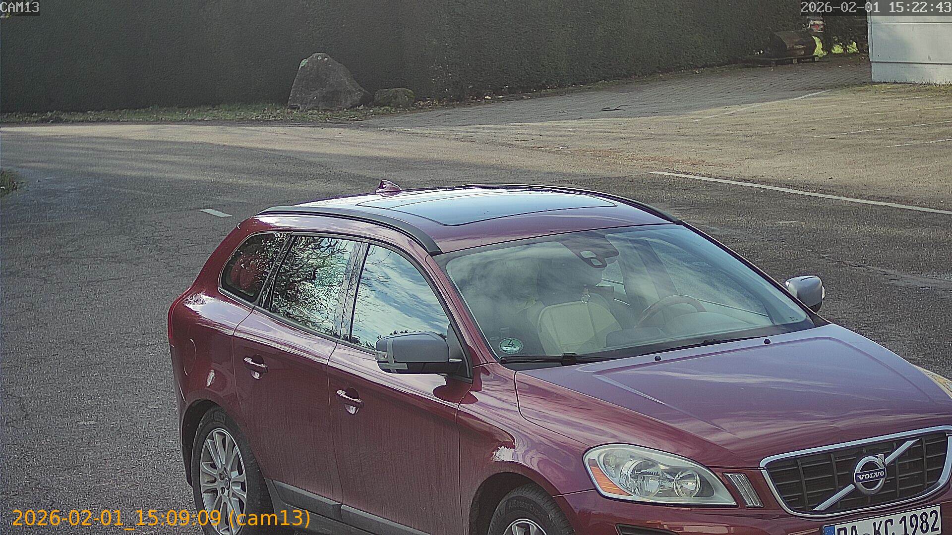 thumbnail_20260201150909