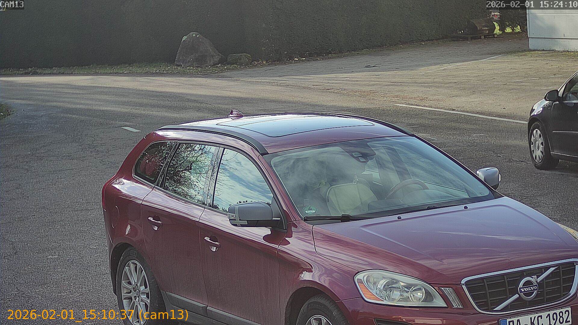 thumbnail_20260201151037