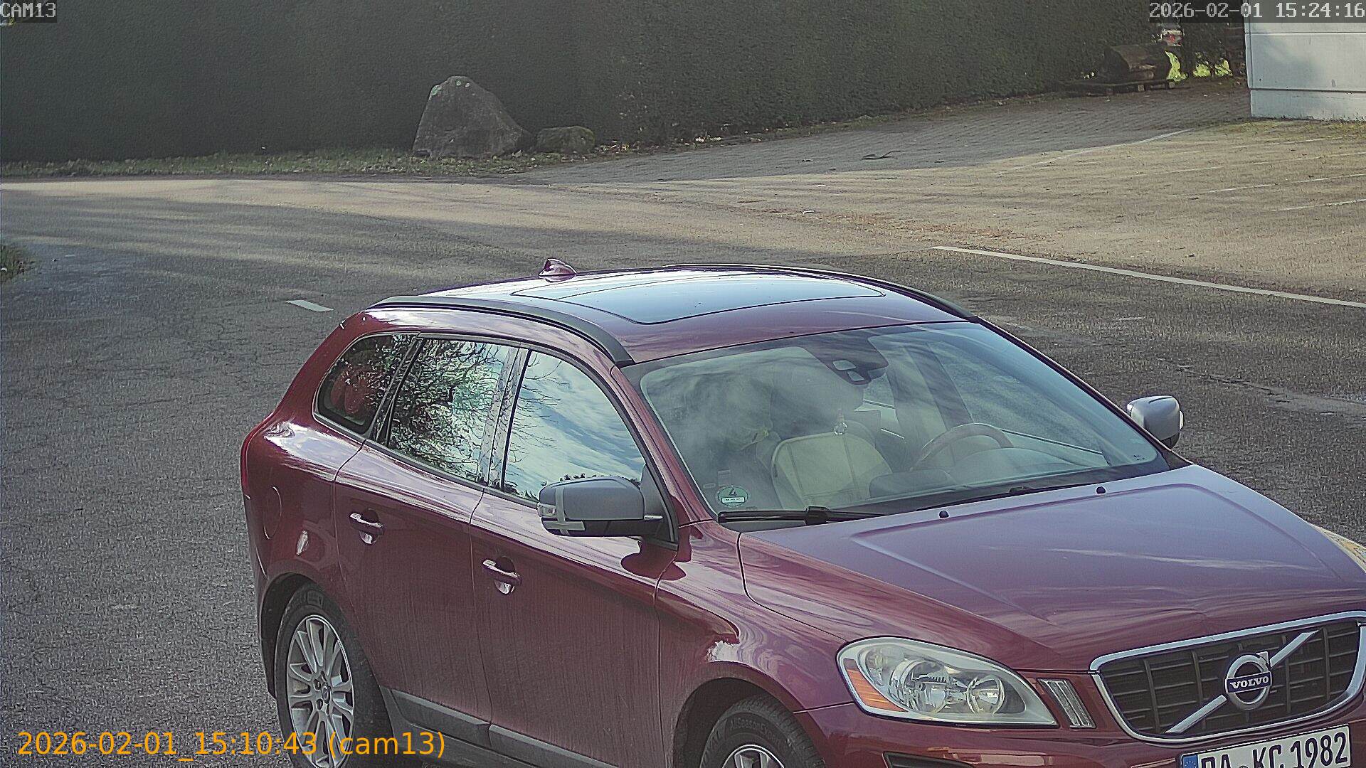 thumbnail_20260201151043