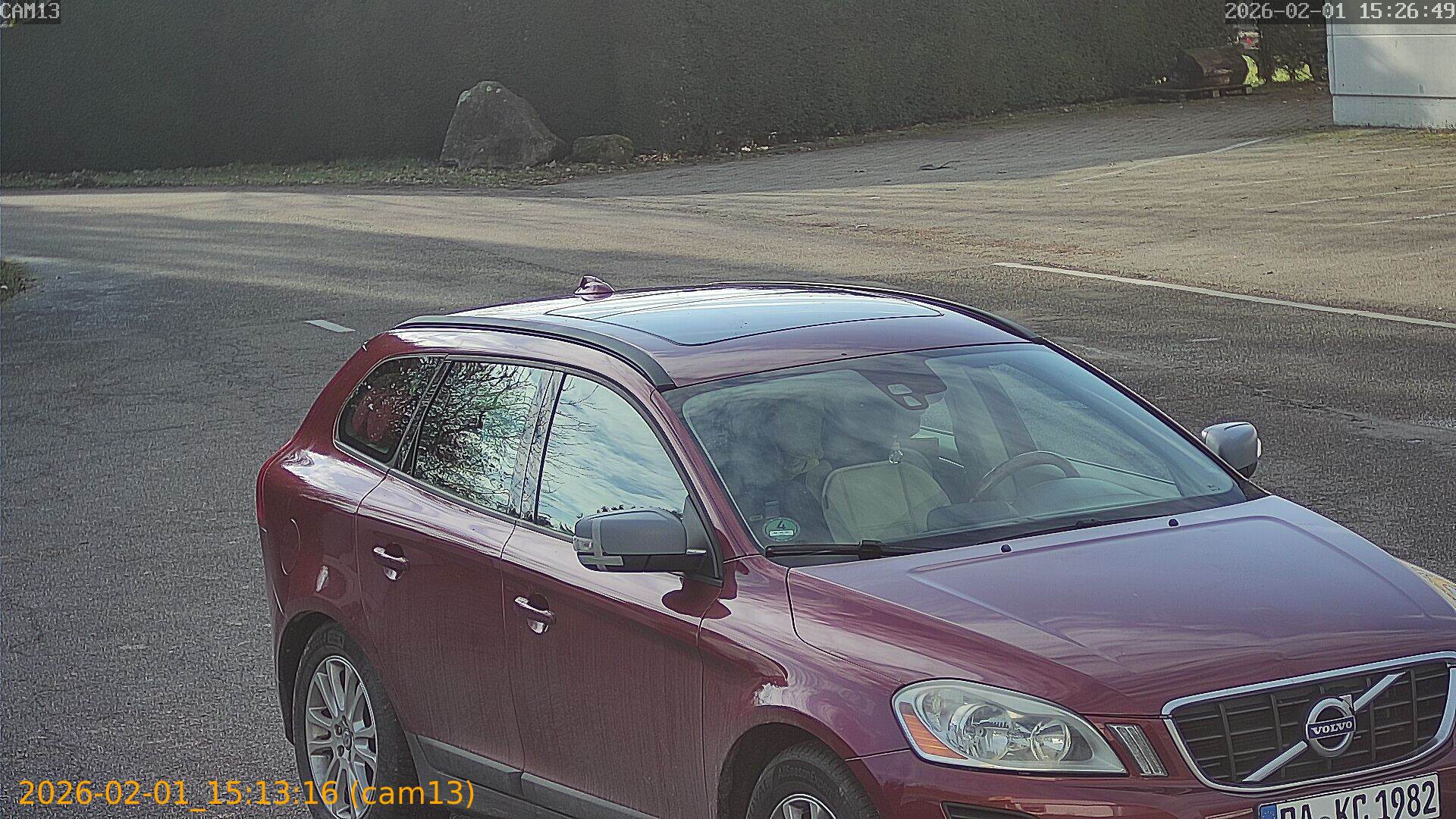 thumbnail_20260201151316