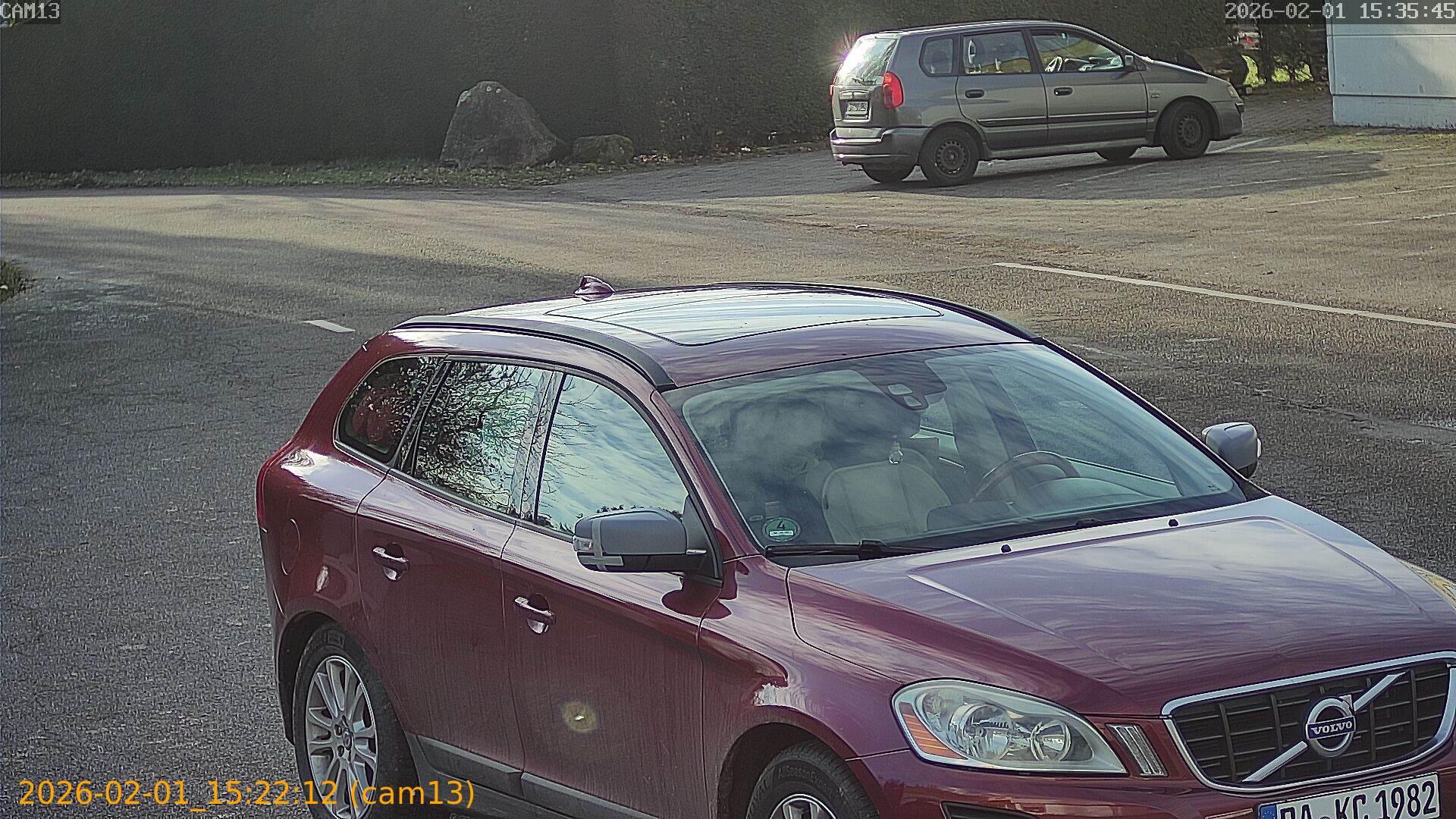 thumbnail_20260201152212