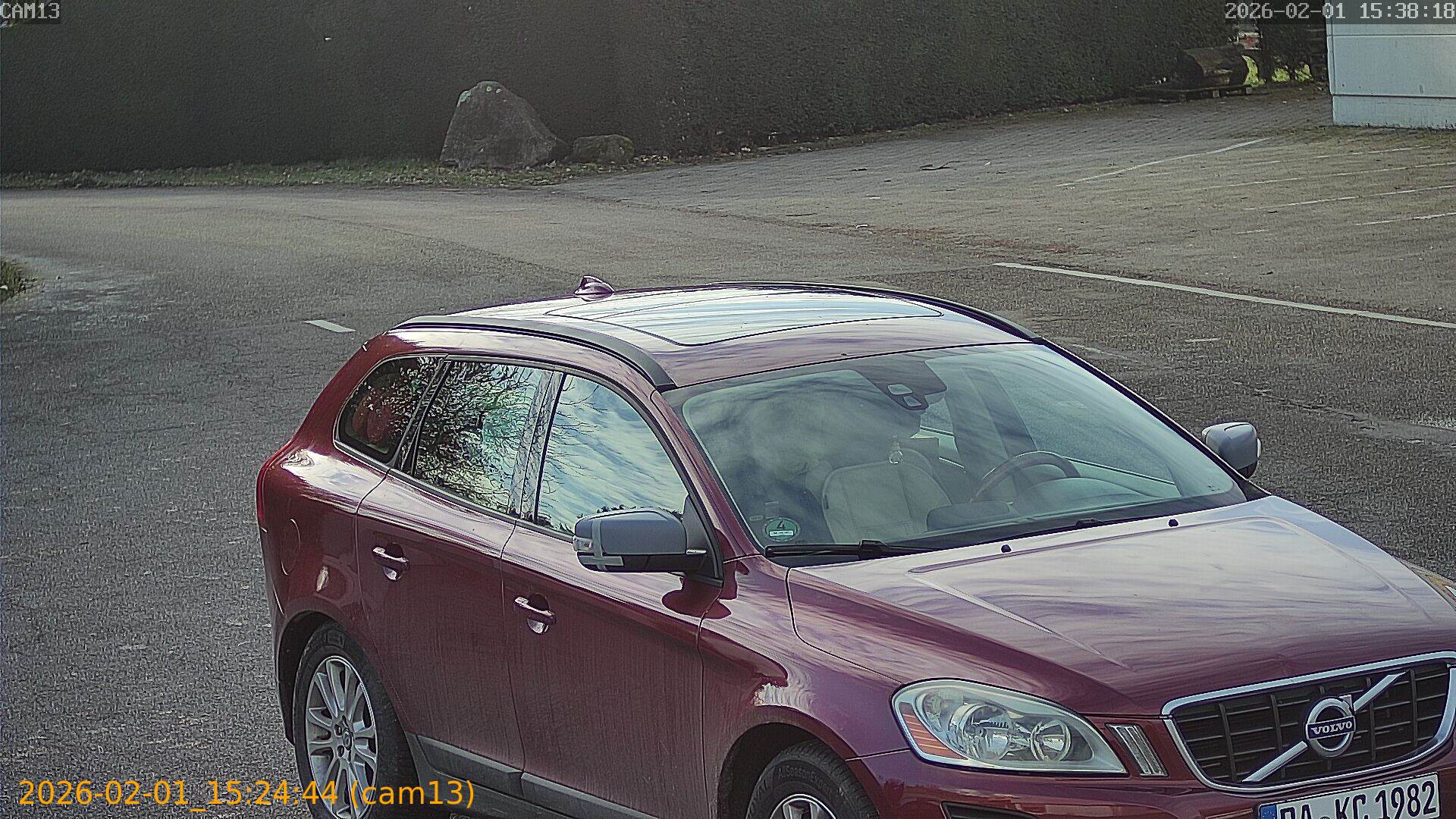 thumbnail_20260201152444