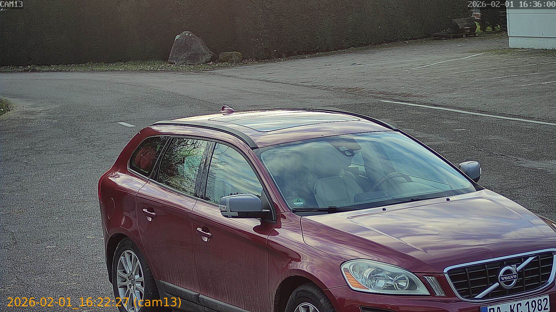 thumbnail_20260201162227