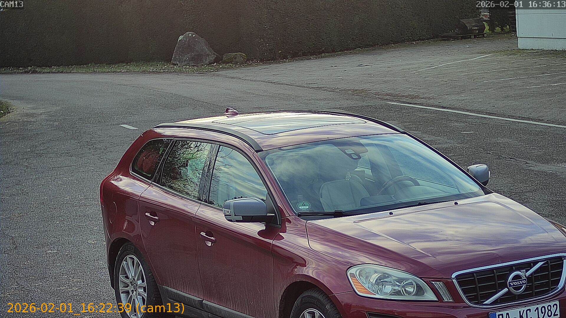 thumbnail_20260201162239