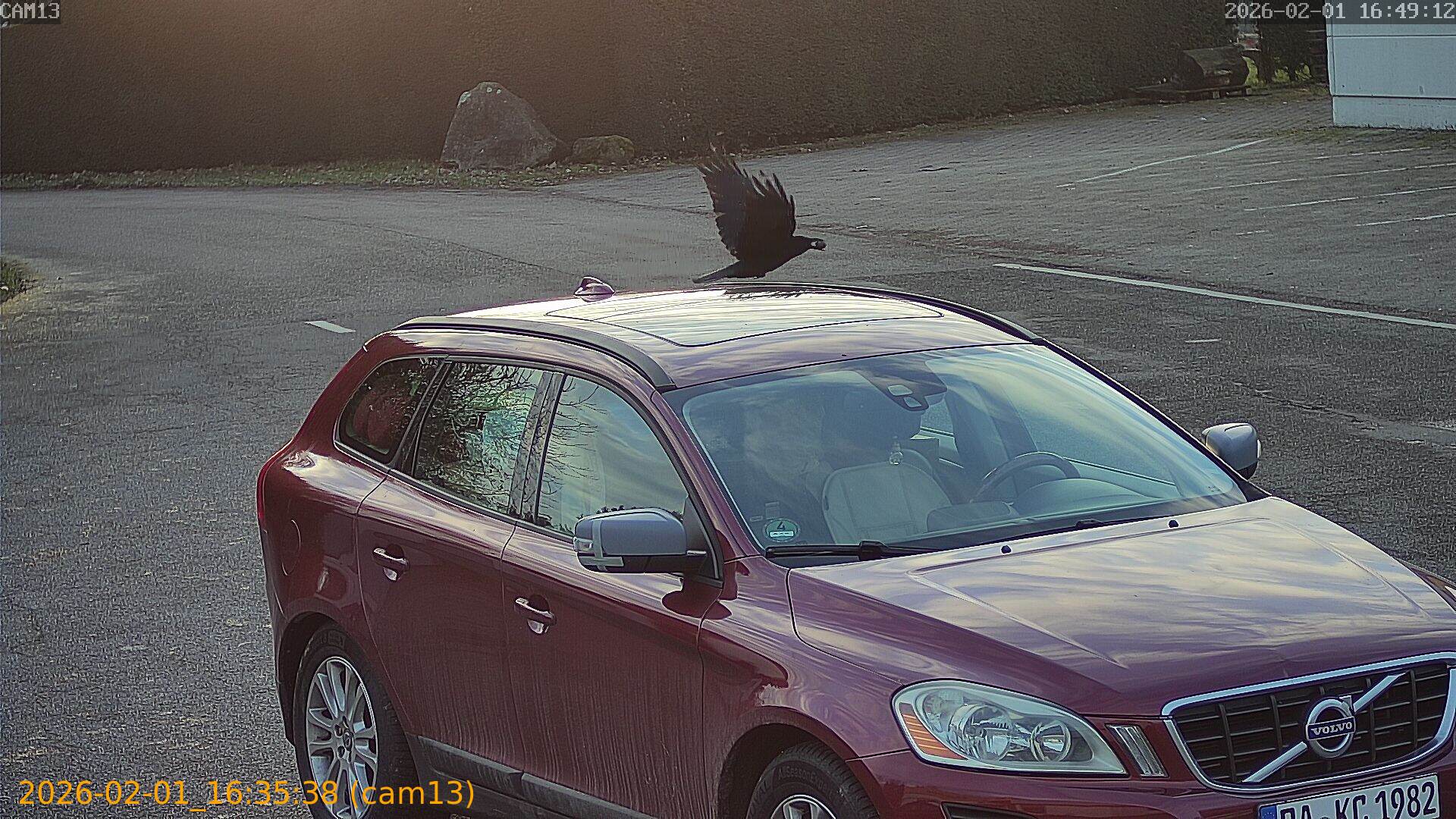 thumbnail_20260201163538