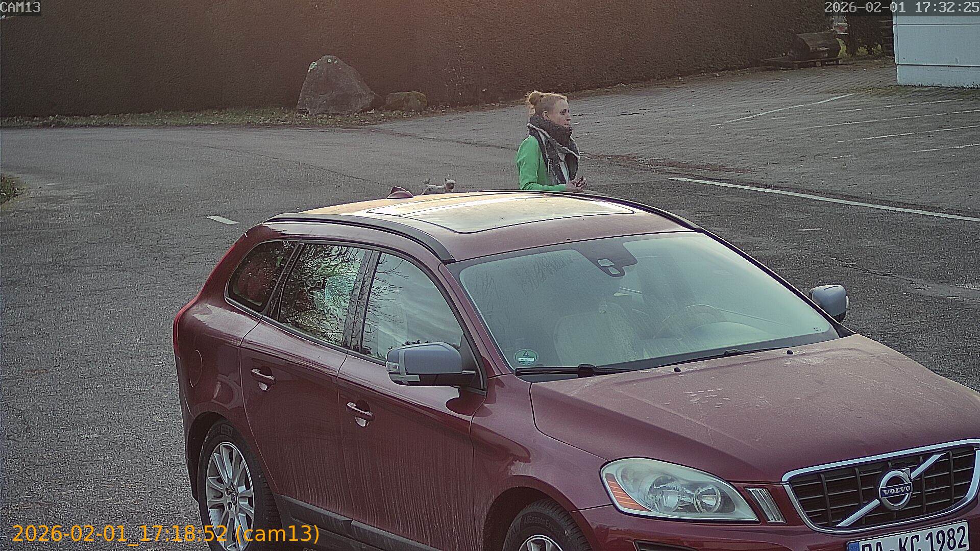 thumbnail_20260201171852