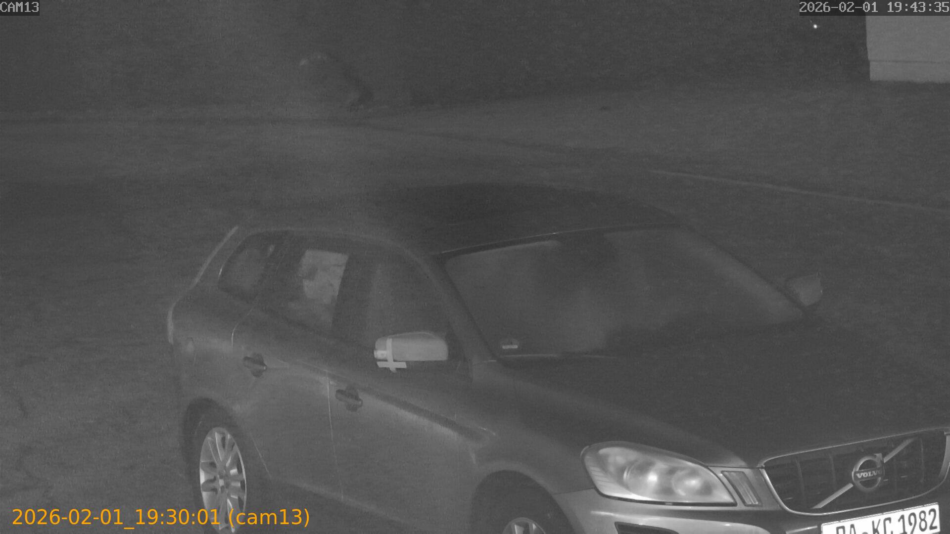 thumbnail_20260201193001