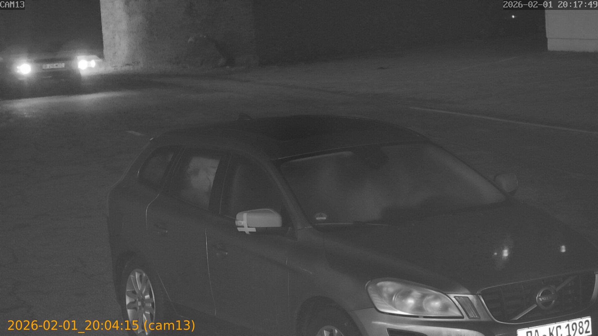 thumbnail_20260201200415