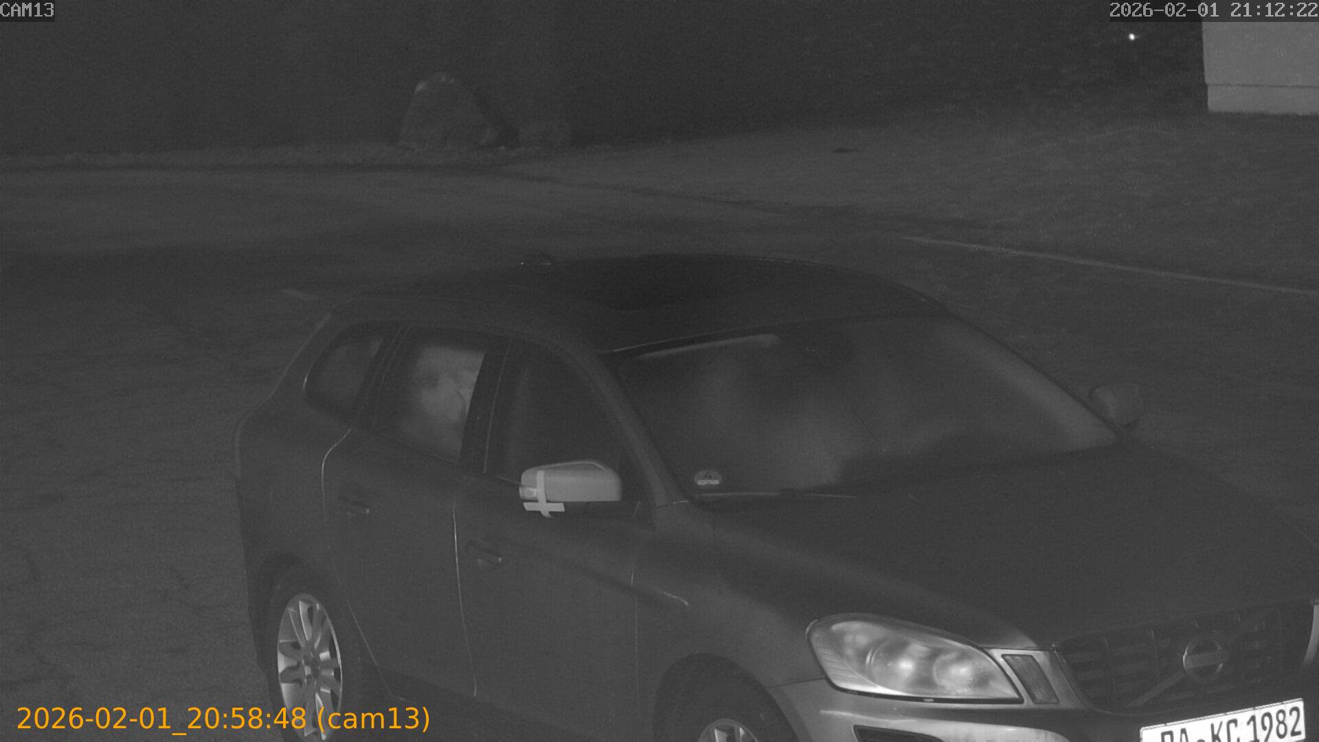 thumbnail_20260201205847