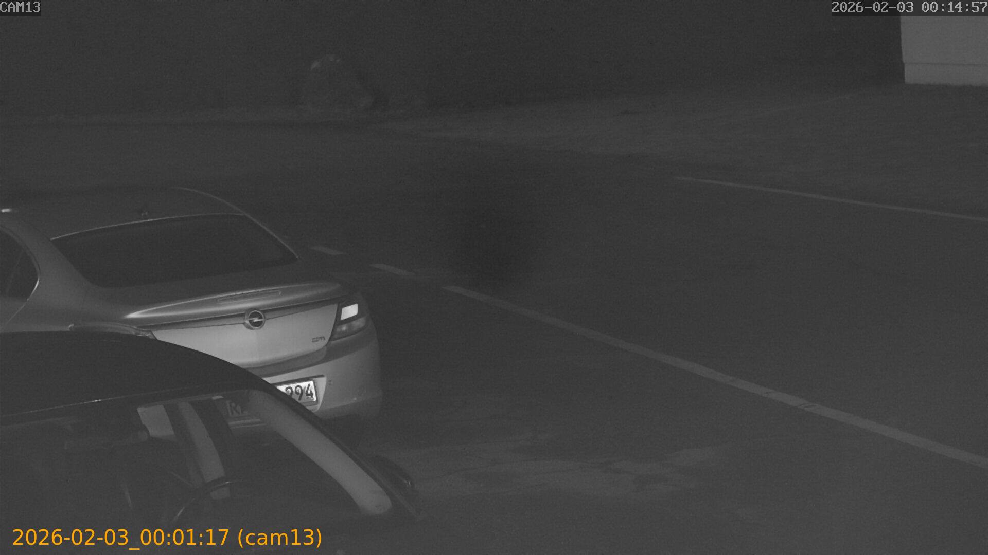 thumbnail_20260203000117