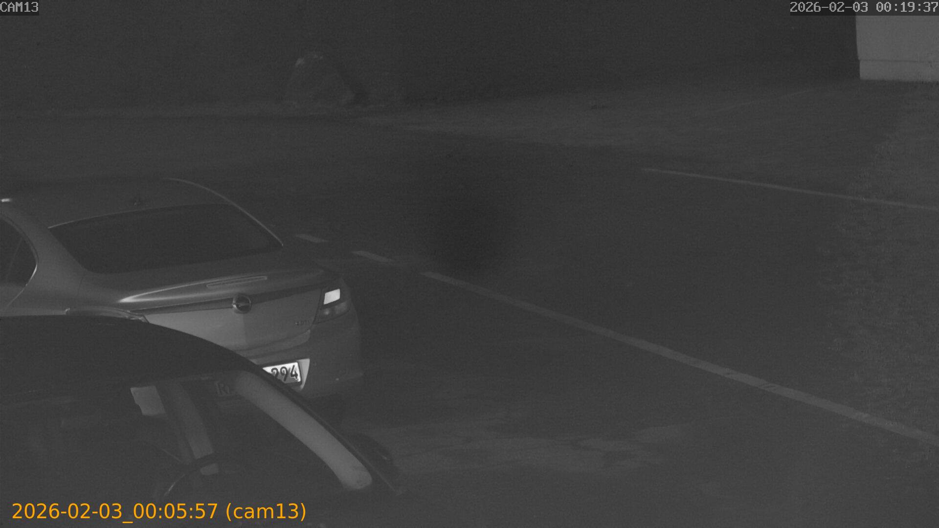 thumbnail_20260203000557