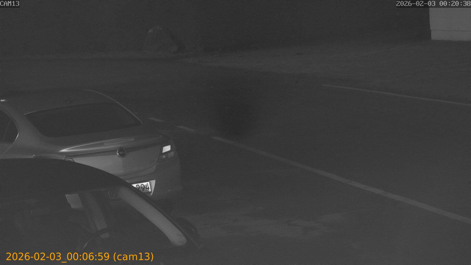 thumbnail_20260203000659